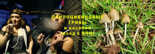 крисы Арсеньев