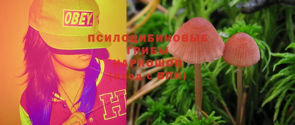гидра Армянск