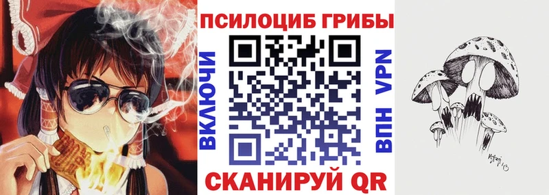 наркошоп  МЕГА ТОР  Псилоцибиновые грибы ЛСД  Новоаннинский 